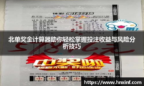 北单奖金计算器助你轻松掌握投注收益与风险分析技巧